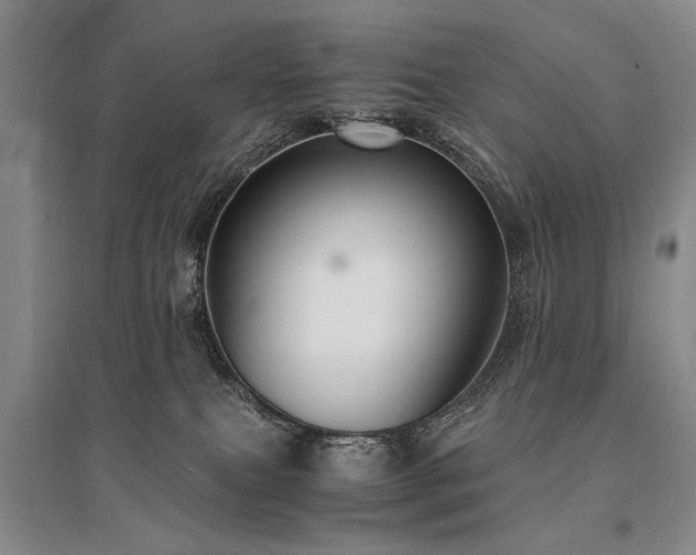 X0000095520087200712141455