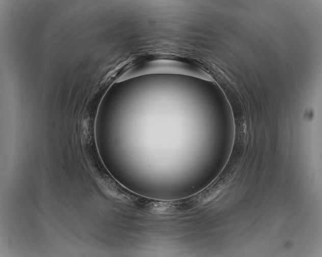 X0000095520088200712141455