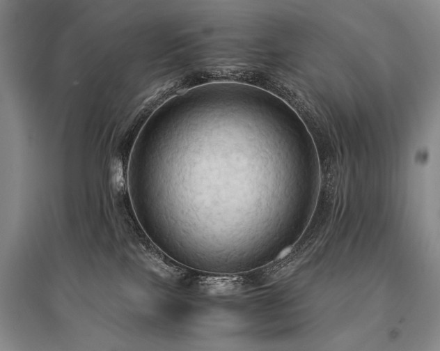 X0000095520089200712141455