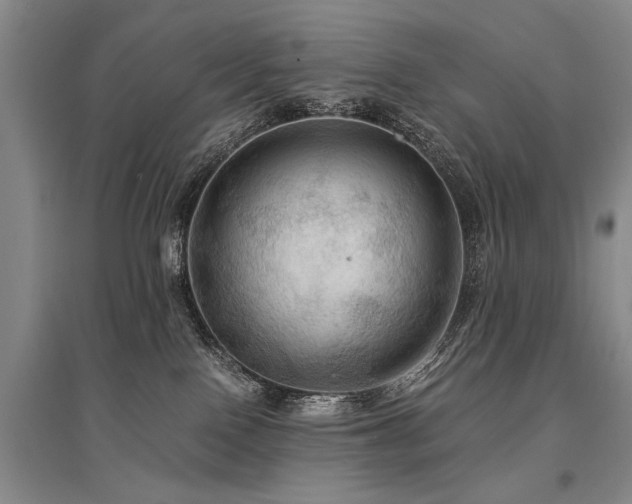 X0000095520090200712141455