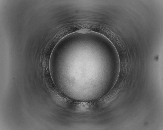 X0000095520091200712141455