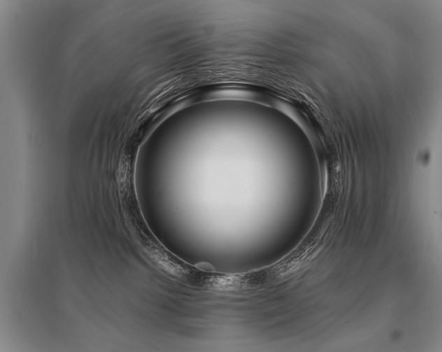 X0000095520092200712141455