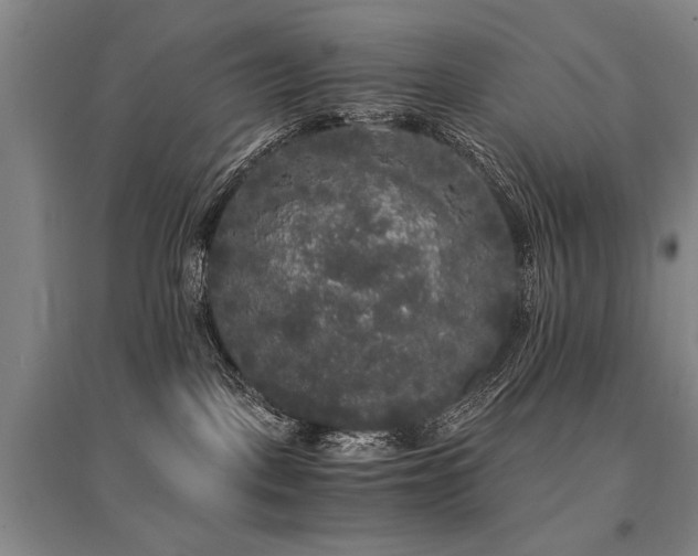 X0000095520093200712141455