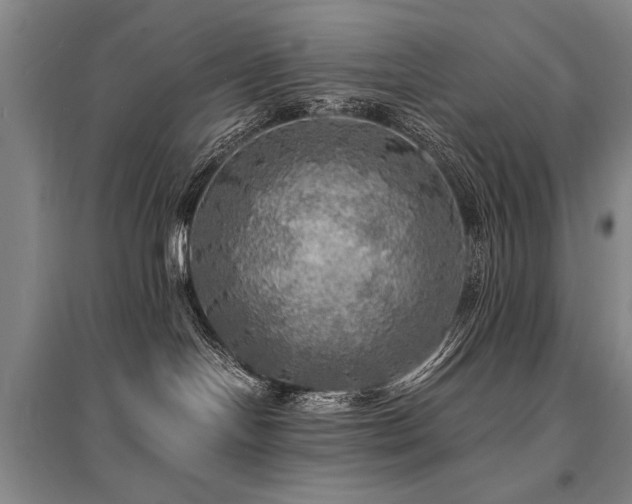 X0000095520094200712141456