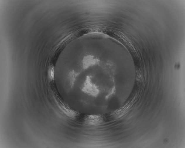 X0000095520095200712141456