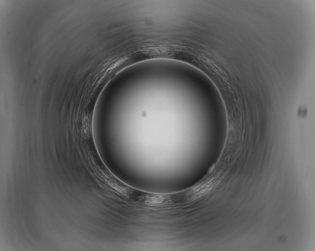 X0000095520096200712141456