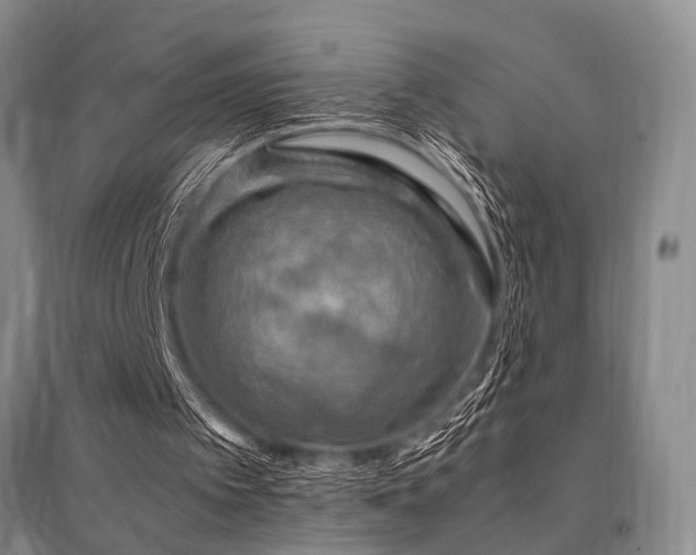 X0000095520097200712141455