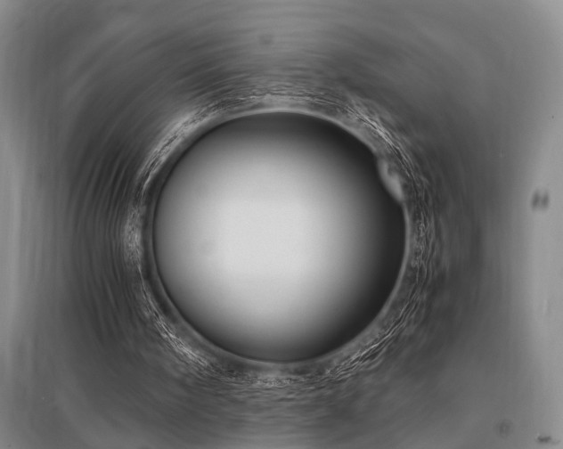 X0000095520098200712141455