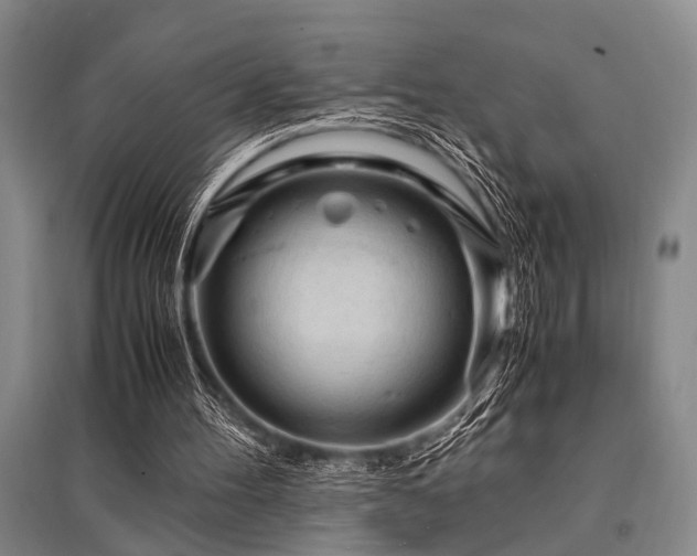 X0000095520100200712141455