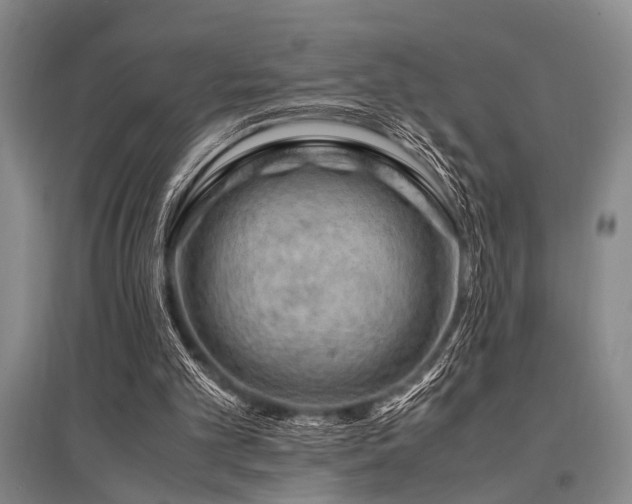 X0000095520101200712141455