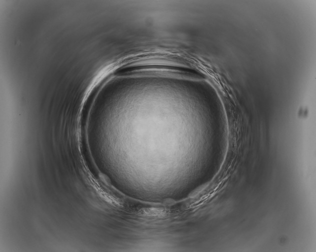 X0000095520102200712141455