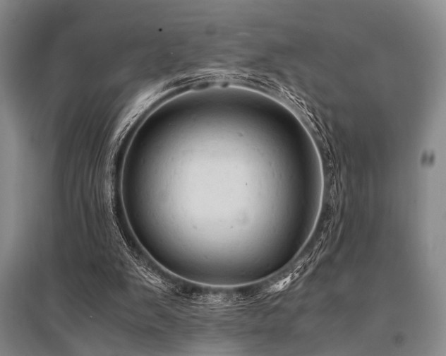 X0000095520103200712141455