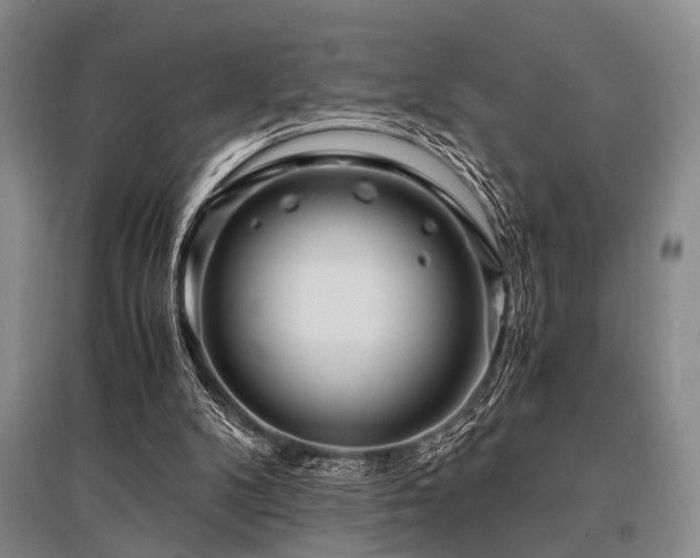 X0000095520104200712141455