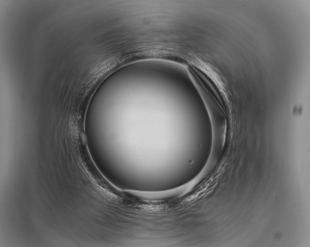 X0000095520105200712141455