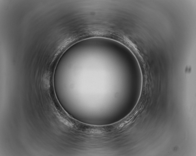 X0000095520106200712141455