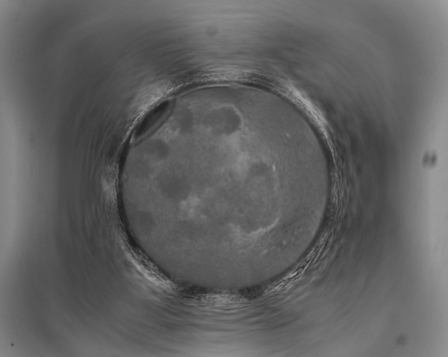 X0000095520107200712141455