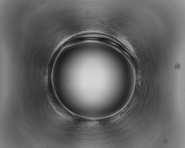 X0000095520108200712141455