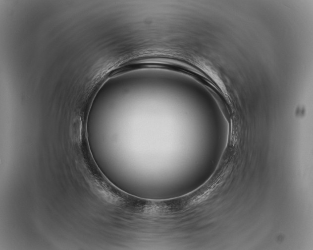 X0000095520109200712141455