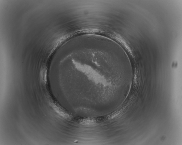 X0000095520110200712141455