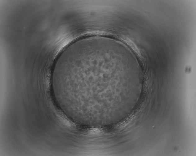 X0000095520111200712141455