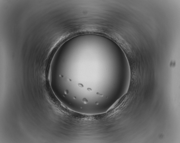 X0000095520112200712141455