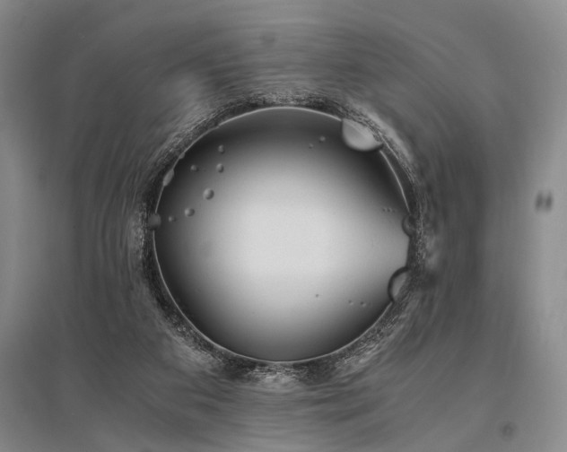 X0000095520113200712141455