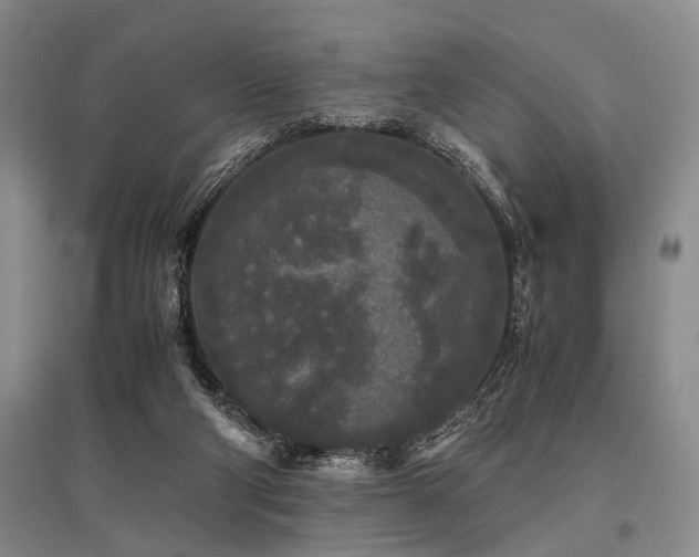 X0000095520114200712141455