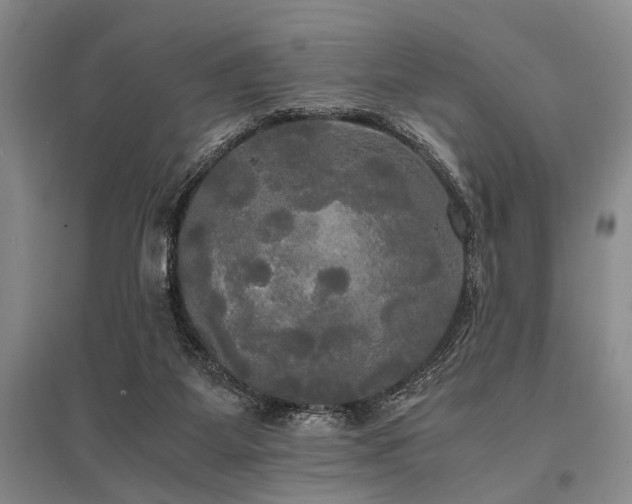 X0000095520115200712141455