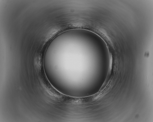 X0000095520116200712141455