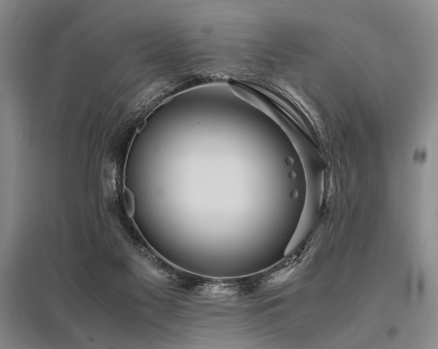 X0000095520117200712141455