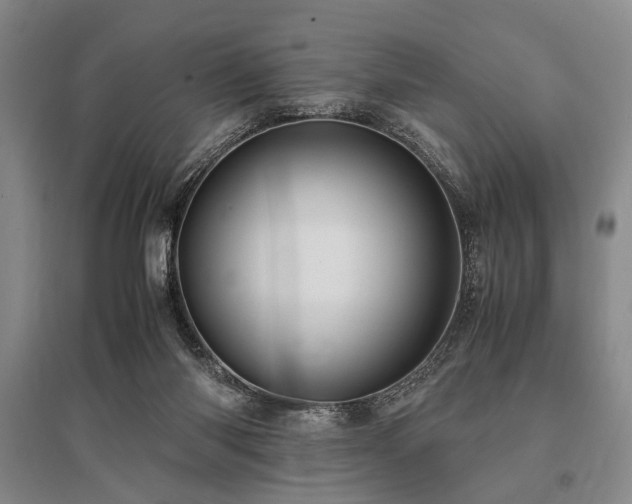 X0000095520118200712141455