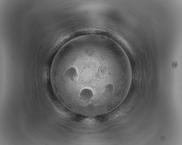 X0000095520119200712141455