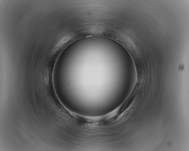 X0000095520120200712141455