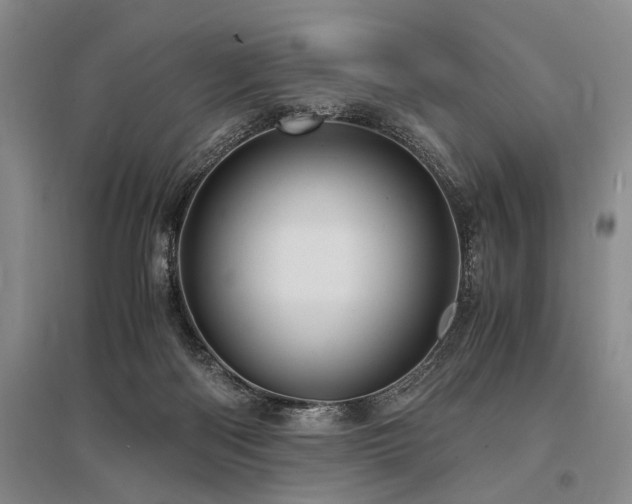 X0000095520122200712141455