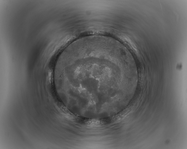 X0000095520123200712141454