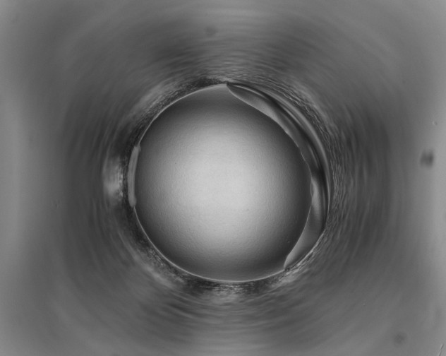 X0000095520124200712141454