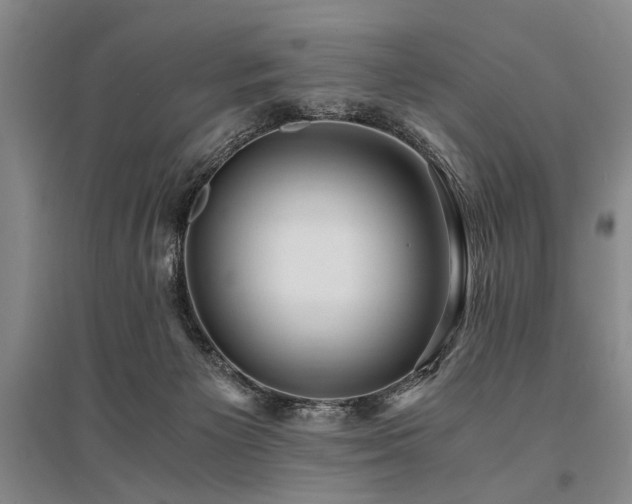 X0000095520125200712141454