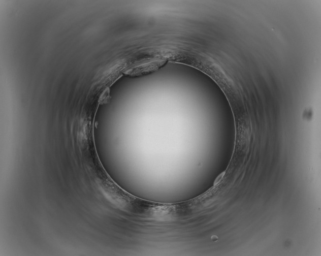 X0000095520126200712141454