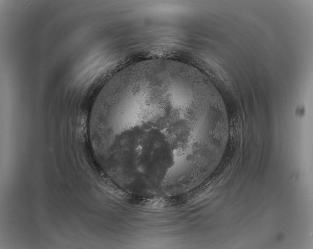 X0000095520127200712141454