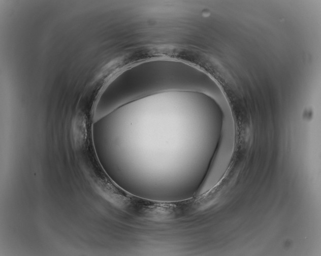 X0000095520128200712141454