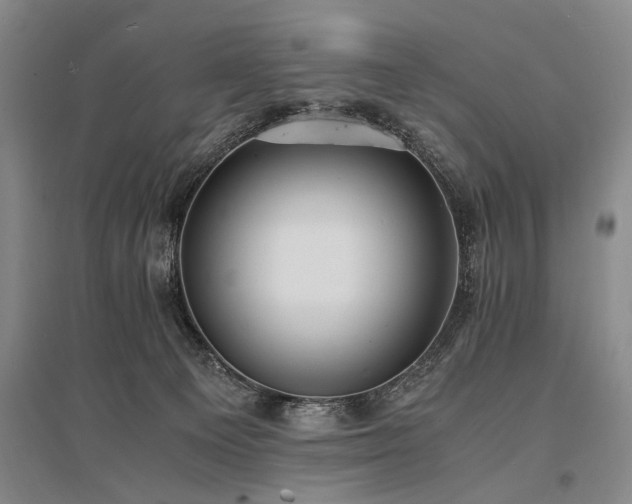 X0000095520129200712141454