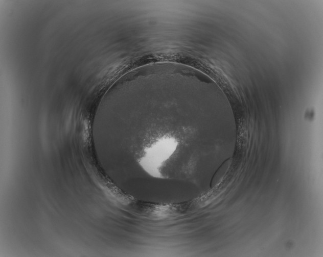 X0000095520130200712141454