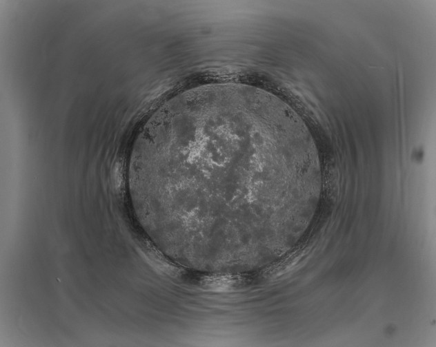 X0000095520131200712141454