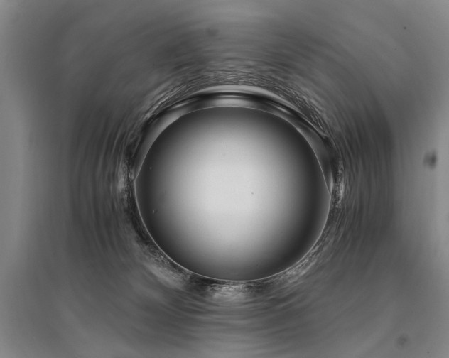 X0000095520132200712141454