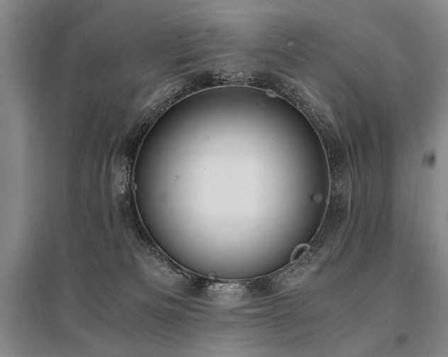 X0000095520133200712141454