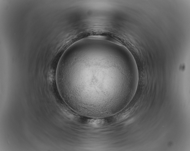 X0000095520135200712141454