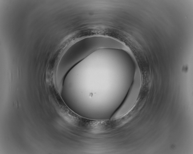 X0000095520136200712141454