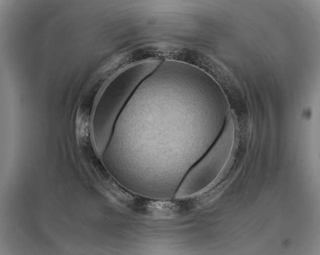 X0000095520137200712141454