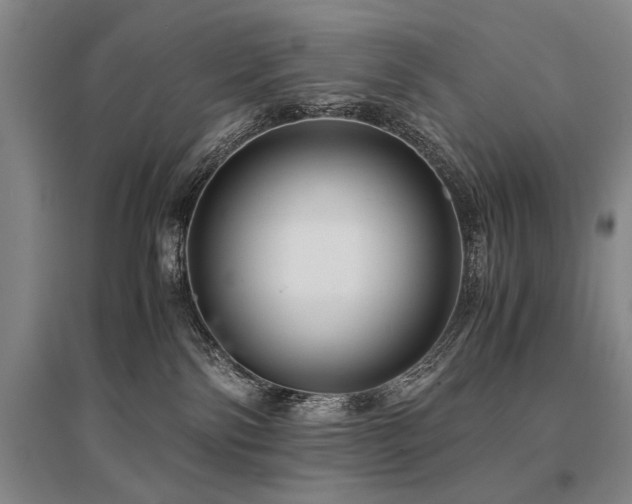 X0000095520138200712141454