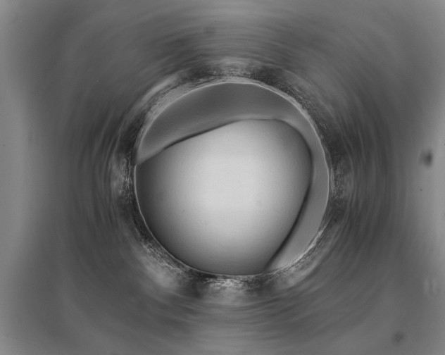 X0000095520140200712141454